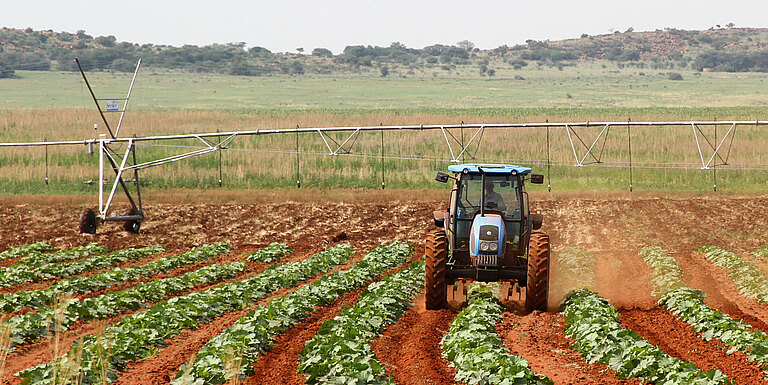 GROUPE WENDIT sectreur d'activité agriculture  