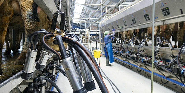 GROUPE WENDIT sectreur d'activité agriculture  