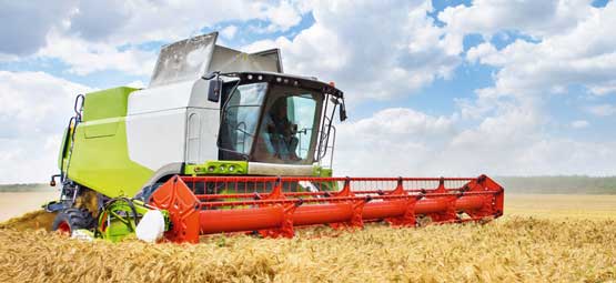 Agricultural Technology: A modern combine harvester harvesting a barley field