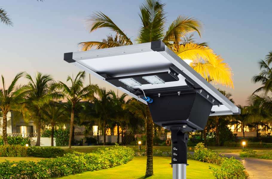 Wendit Solar Street Light in a Park with Palm Trees
