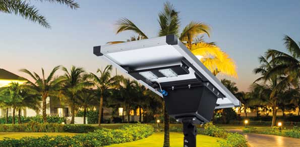 Wendit Solar Street Light in a Park with Palm Trees